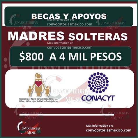 ayudas para madres solteras en miami|Información de solicitud de asistencia